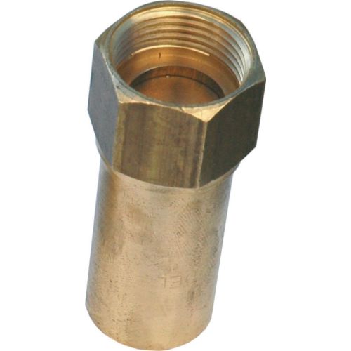 Anti-bélier Femelle